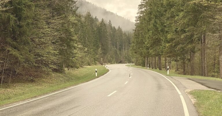 A quiet two-lane road curving away through trees, the kind of Virginia road where reckless driving charges begin